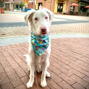 Fundraising Page: Billie Jo Boughter